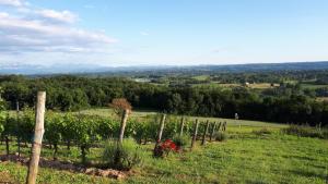 Maisons de vacances Gite entre Vignes et Montagne : photos des chambres