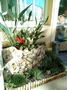Hotels Hotel Alexandra : photos des chambres