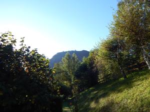 Campings LES CHALETS DE MONTORGUEIL : photos des chambres