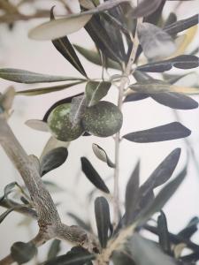 Greca Mare-Traditional Greek Boutique Apt.