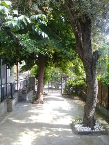 Under the trees Kavala Greece