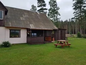 Pirmie Zaļmeži - Alsunga