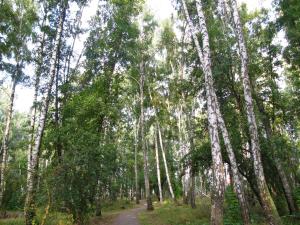 Готель «Северинівка»