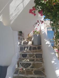 Astrofegia guest house Donousa-Island Greece