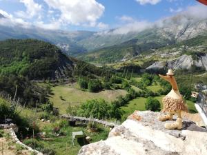 Maisons d'hotes Gaia, maison d'hotes Verdon, vue feerique : photos des chambres