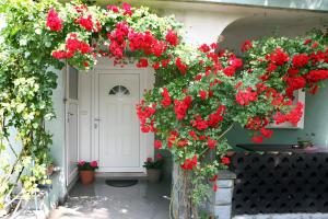 Green Place Portoroz RC