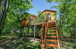 Dióliget - Csendes Rejtek Lombház - Vértesacsa