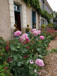 La Grange Bleue photo 12