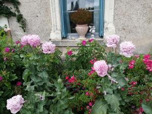 La Grange Bleue photo 21