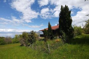 Chalets Chalet paisible dans la nature avec belle vue sur le lac Leman : photos des chambres