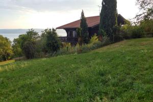 Chalets Chalet paisible dans la nature avec belle vue sur le lac Leman : photos des chambres