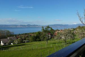 Chalets Chalet paisible dans la nature avec belle vue sur le lac Leman : photos des chambres