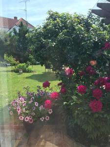 Dadas Bed & Breakfast