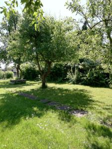 Hostel Mamas & Papas