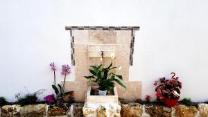 Villas La Rose Allass : photos des chambres