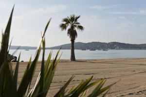 Cote d'Azur Holidays photo 18