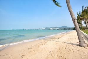 1 Bedroom Apartment F207