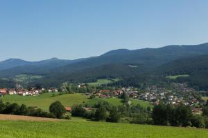 Sixt Martina