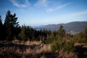 Sixt Martina