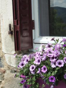 Maisons de vacances La Bastide d'Amalthee : photos des chambres