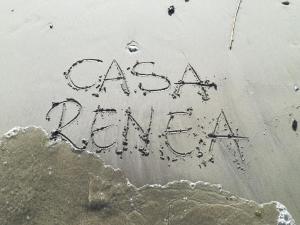 Pension Casa Renea Sfântu Gheorghe Rumänien