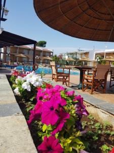 Hotel Kalamitsi Apartments Epirus Greece
