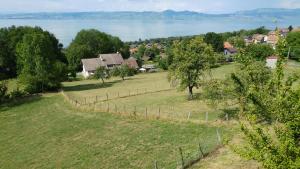 Chalets Chalet paisible dans la nature avec belle vue sur le lac Leman : photos des chambres