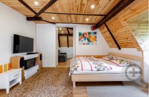 Apartment with Terrace room in Apartamenty Pod Skocznią