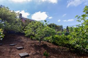 Chalet Pico das Pedras