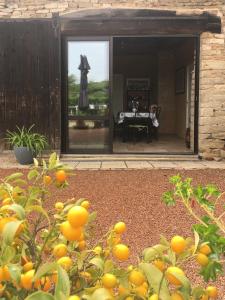 La Chambre des Buissonnats