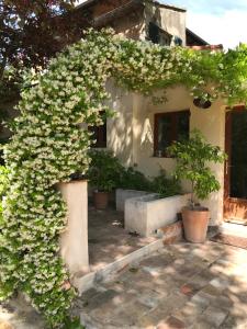 Maisons de vacances dependance de bastide climatisee dans parc exceptionnel, au calme : photos des chambres