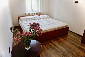 Bright, Calm & Spacious Apartment Next To The Wawel Castle
