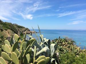 Villetta sul mare a Punta Tramontana img23