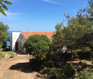 Villetta sul mare a Punta Tramontana img27