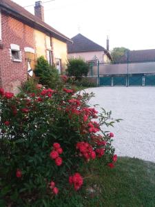 Campagn'Arts photo 9
