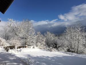 B&B / Chambres d'hotes la gravinette : photos des chambres