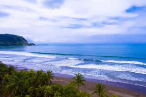 Costa Rica Surf Camp by SUPERbrand, Jacó