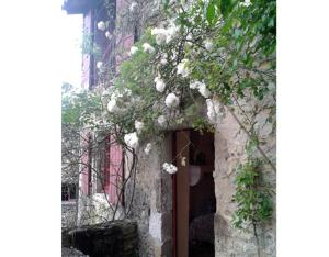 B&B / Chambres d'hotes Chambre d'Hote Le Theron : photos des chambres