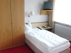 Single Room room in Hotel Olympia