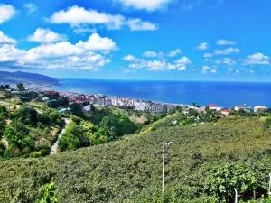 Paradise Villa Trabzon - Derecik