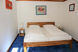 Double Room room in Hotel Gotthard