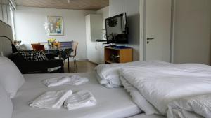 Family Suite room in 2 rooms private kitchen bathroom and garden.