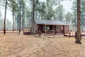 Big Bear Cabin - Woodland Park