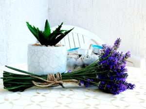 Apartmani Kantrida- Antea