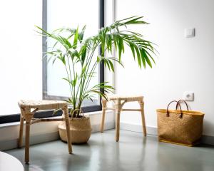 Casa do Vento by Home Sweet Home Aveiro