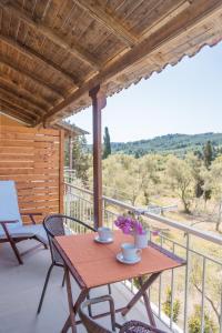 Nikos & Vivi Studios