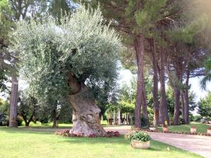 Agriturismo La Stornara, Petfriendly & EV Friendly