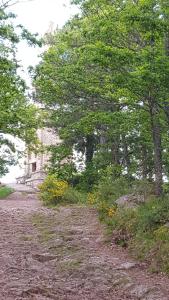 B&B / Chambres d'hotes Les Iris Chambres d’hote : photos des chambres