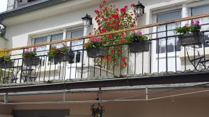 B&B / Chambres d'hotes Les Iris Chambres d’hote : photos des chambres