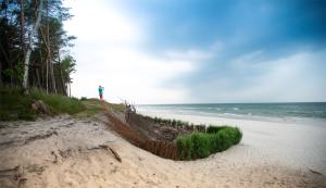 Lubiatowe Love - domki w otulinie lasu